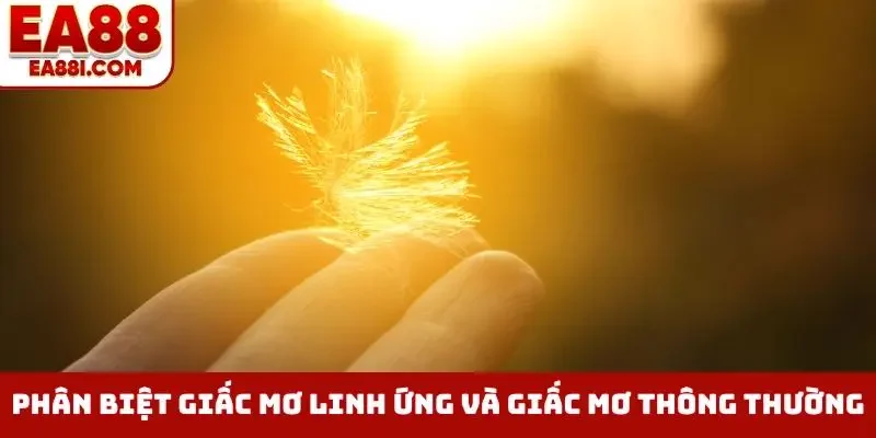 phân biệt giấc mơ linh ứng và giấc mơ thông thường